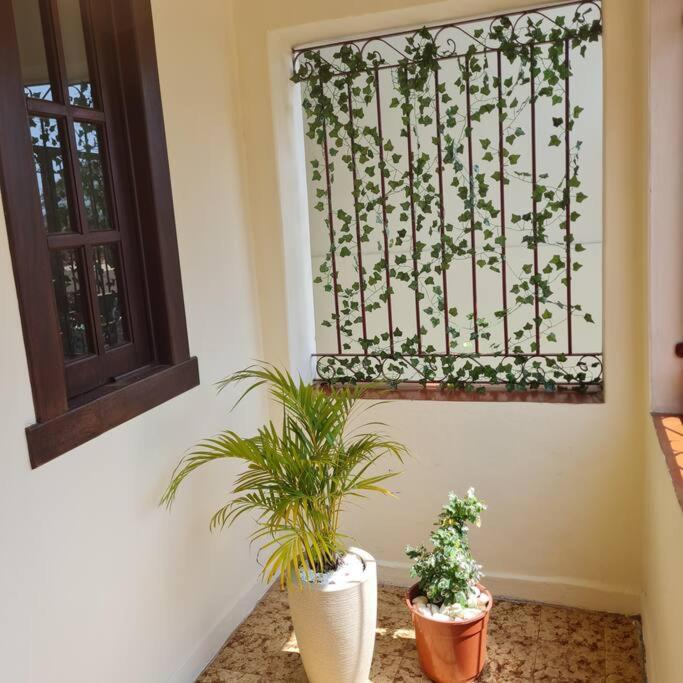 Holiday home Pertim Da Serra